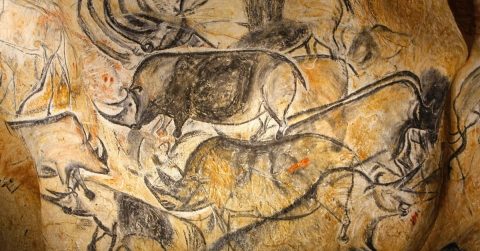 Image of cave wall with ancient, shaded line drawings of overlapping animals including rhinos