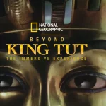 king tut exhibit header