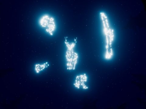 Animal constellations in the sky